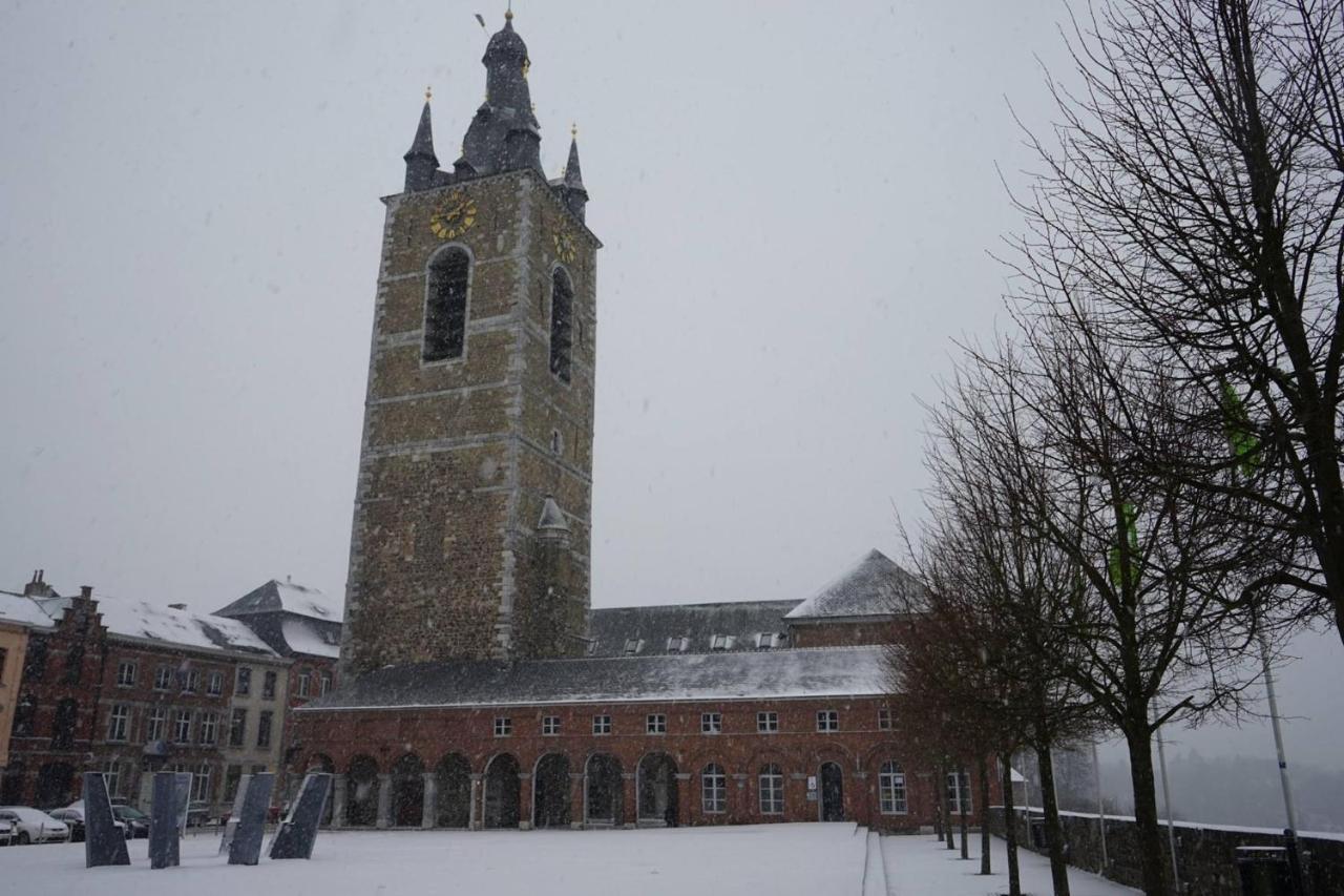 Le Refuge Des Catulas Thuin Buitenkant foto